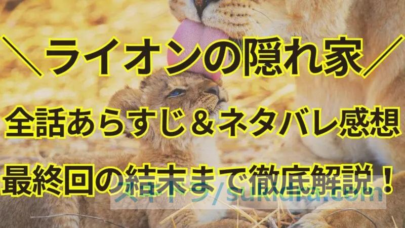 ライオンの隠れ家【全話あらすじ＆ネタバレ考察】最終回の結末まで原作を徹底解説！