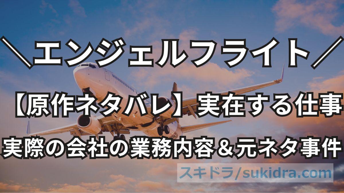 【エンジェルフライト】原作ネタバレ:実在モデルはエアハース・インターナショナル!元ネタ事件とは